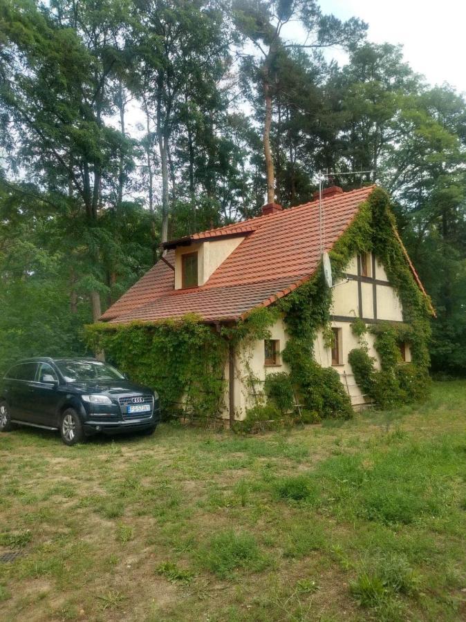Zolty Domek Nad Jeziorem Lubniewice Exterior photo